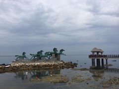 -养马岛旅游度假区