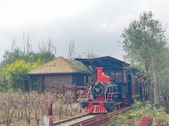 -西青郊野公园