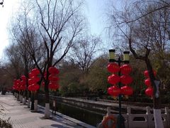 -泉城广场