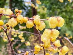 -成都杜甫草堂博物馆
