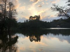 -深圳仙湖植物园-停车场