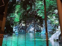 -桂满陇·海市蜃楼·黑金(国金店)