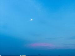 -碧海金沙
