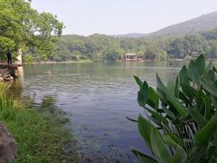 -紫霞湖公园
