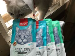 -佳怡动物医院·平价24小时·猫专科骨外科