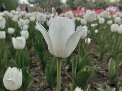 -长春公园(普阳街道)