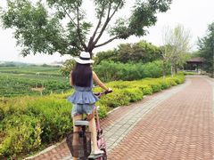 -北京张裕爱斐堡酒庄