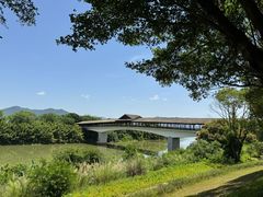 -福建鲤鱼洲酒店