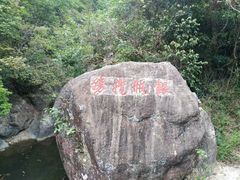 -银瓶嘴森林公园
