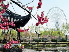 -无锡蠡湖国家湿地公园-蠡园