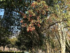 -白塘生态植物园