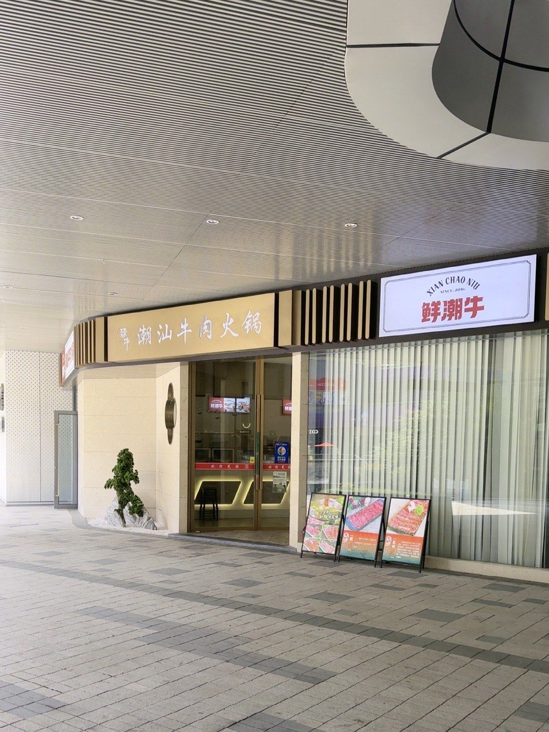 包含北京中醫醫院、房山區知名專家黃牛掛號，良心辦事合理收費的詞條