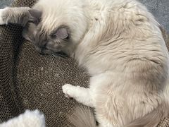 -零纪元VR体验馆·桌游(黄浦店)