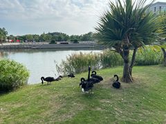 -厦门国家会计学院