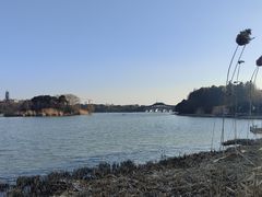 -长广溪湿地公园