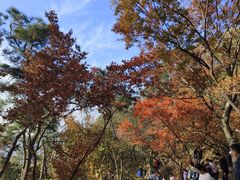 -虞山风景区