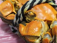 -乡乐园蟹庄·阳澄湖农家乐