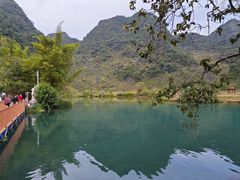-靖西鹅泉风景区