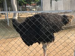 -意大利农场度假村