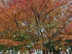 -普陀山风景名胜区-法雨禅寺