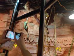 -Zoolung Zoolung动物主题公园(海信广场店)