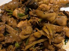 现杀果园鸡—黄焖鸡-生态苑农庄(十里画廊遇龙河店)