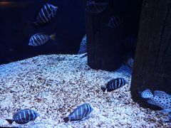 -成都浩海立方海洋公园