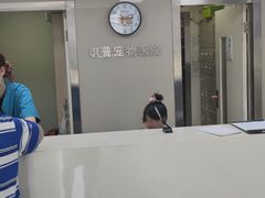 -申普宠物医院·心脏介入·心血管微创(总院)