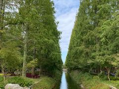 -东平国家森林公园