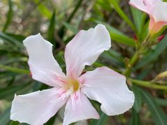 -百签宫串串香重庆火锅(夏湾店)