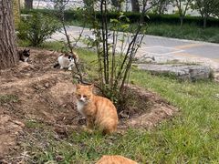 -燕郊植物园