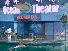 -苏州海洋馆