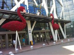 iphone_upload_pic-凯德广场(学府店)