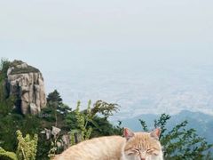 -泰山风景名胜区