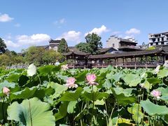 -芙蓉镇景区