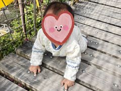 -美的鹭湖探索王国