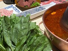 -东镇老火锅(长春路首店)