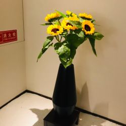 -美玫美容SPA护理中心