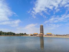 -金塔沙漠胡杨林景区