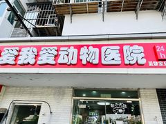 -中农大我爱我爱24h动物医院·中医针灸·猫专科·骨科医疗中心(双井店)
