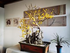 -颐和园