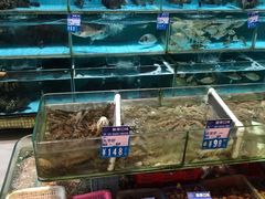 水产区-强记海鲜·大排档(蛇口新街店)