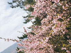 -北岳恒山