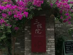 -三圣花乡旅游区