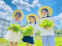 -蓝莓果幼儿园(通州梨园店)