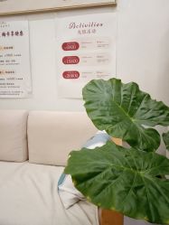 -慈蕊美容养生·专业经络调理