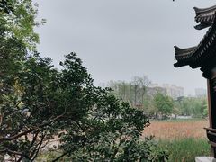 -莲湖公园