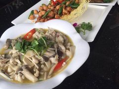 -云中小雅