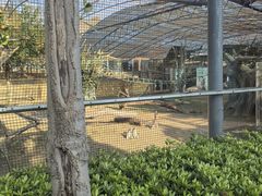 -南京金牛湖风景区