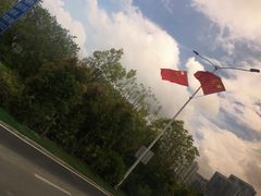 -杨梅坑